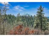  Secluded Way - Photo 14