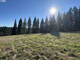 20799 Kruger Rd - Photo 14