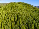  Sharps Creek Rd - Photo 10
