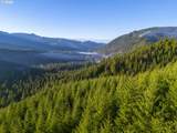  Sharps Creek Rd - Photo 13