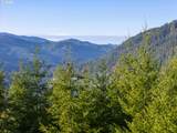  Sharps Creek Rd - Photo 14