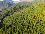  Sharps Creek Rd - Photo 3