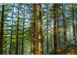  Sharps Creek Rd - Photo 5