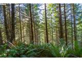  Sharps Creek Rd - Photo 6
