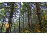  Sharps Creek Rd - Photo 7