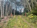  Lot  300 Raghorn Rd - Photo 1