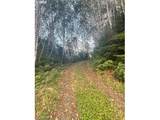 Lot  300 Raghorn Rd - Photo 2