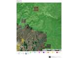  0 Nfs 1680 Rd. - Photo 25