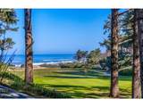 9 Big Tree Rd - Photo 10
