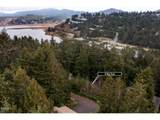 9 Big Tree Rd - Photo 3