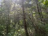  Perkins Creek Rd - Photo 4