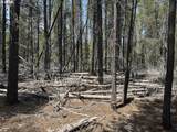  Scotts View Lot - Photo 7