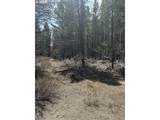  Scotts View Lot - Photo 9