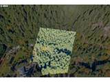 44829 Quartzville Dr - Photo 2