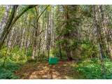 44829 Quartzville Dr - Photo 8