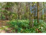 44829 Quartzville Dr - Photo 9