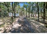 86681 Pine Grove Rd - Photo 33