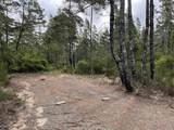  Hwy 101 - Photo 22