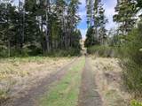  Hwy 101 - Photo 33