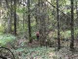 000 Crooked Finger Rd - Photo 11