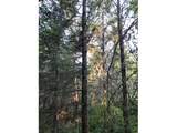 000 Crooked Finger Rd - Photo 12
