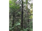 000 Crooked Finger Rd - Photo 13