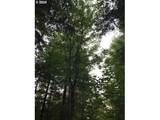 000 Crooked Finger Rd - Photo 14