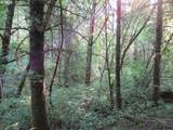 000 Crooked Finger Rd - Photo 16