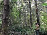 000 Crooked Finger Rd - Photo 2