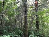 000 Crooked Finger Rd - Photo 20