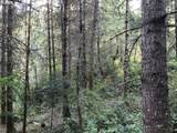 000 Crooked Finger Rd - Photo 3