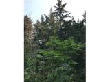 000 Crooked Finger Rd - Photo 4