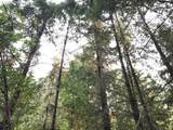 000 Crooked Finger Rd - Photo 6