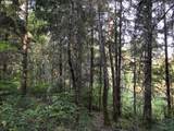 000 Crooked Finger Rd - Photo 7