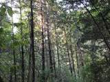 000 Crooked Finger Rd - Photo 9