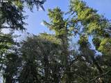 2700 Miller Ln - Photo 8