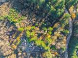  Skyline Blvd - Photo 19