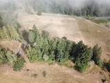  Nehalem Hwy N - Photo 3