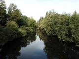  Nehalem Hwy N - Photo 6