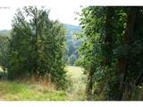  Nehalem Hwy N - Photo 9
