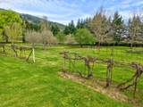 128 Market Ln - Photo 27