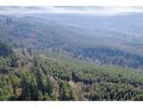 0 Cedar Mist Rd - Photo 13