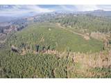 0 Cedar Mist Rd - Photo 3
