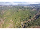 0 Cedar Mist Rd - Photo 6