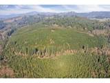 0 Cedar Mist Rd - Photo 8