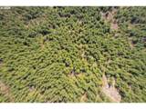 0 Cedar Mist Rd - Photo 9