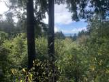  Duley Creek - Photo 17