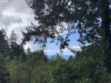  Duley Creek - Photo 2