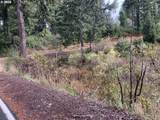  Duley Creek - Photo 4