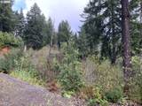  Duley Creek - Photo 6